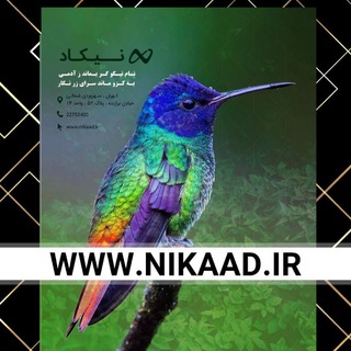 Telegram profile photo for Nikaad نیکاد