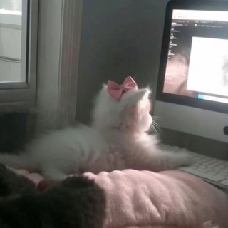 Telegram profile photo for 🎀🐰 никуся бимбостаровна🐰🎀