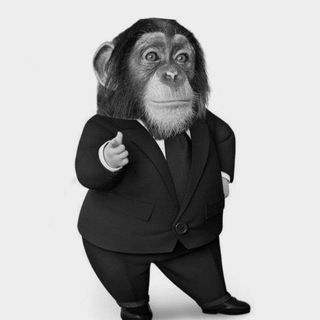 Telegram profile photo for ๐๐๐๐๐ ๐๐๐๐๐