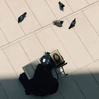 Telegram profile photo for الْـجُـــودِيِّ🖇️🍂