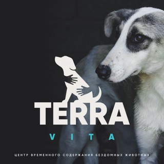 Telegram profile photo for Terra-vita ( Центр временного содержания бездомных животных)
