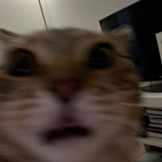 Telegram profile photo for какая-то лера котенкина