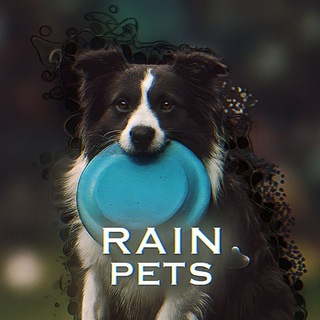 Telegram profile photo for 🌊Rain Pets💦