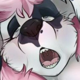 Telegram profile photo for All things feral(18+)