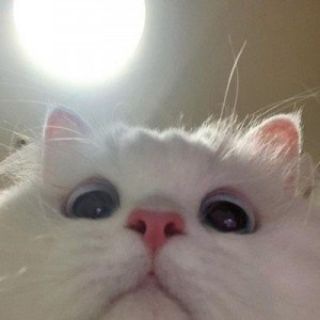 Telegram profile photo for Новости @TITAN5BOT