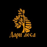 Telegram profile photo for Дары Леса Лестницы
