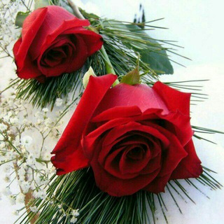 Telegram profile photo for شبکه اجتماعی طهوران