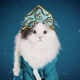 Telegram profile photo for Кошка в кокошнике (18+)