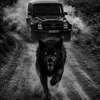 Telegram group profile photo for بنات استفسارات السياحة في تبوك جدة السياحه في ضباء السياحيه الاماكن مجموعة بنات حلوات ارقام سعوديات تعارف مصريات يمنيات اردنيات