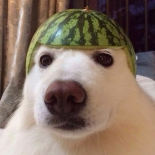 Telegram profile photo for Халява | FunTime