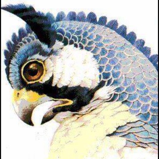Telegram profile photo for موبایل هماتل 📱 Homatell