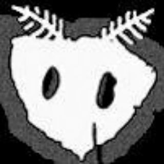 Telegram profile photo for mothtears////Mee:w
