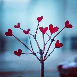 Telegram profile photo for فحوای فواد