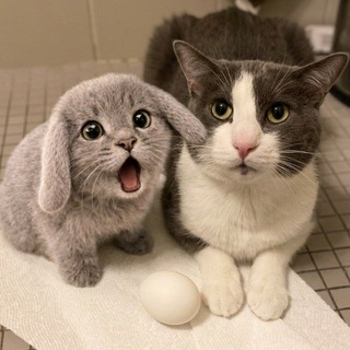 Telegram profile photo for uwuляция по четвергам