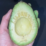 Telegram profile photo for Avocado.