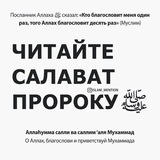 Telegram profile photo for Умма Мухаммада ﷺ