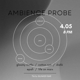 Telegram profile photo for AmbienceProbe