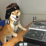 Telegram profile photo for keks of life