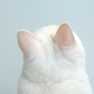 Telegram profile photo for Pics break