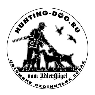 Telegram profile photo for Hunting-dog.ru — питомник дратхааров и курцхааров