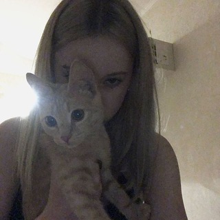 Telegram profile photo for раздачи от гофи