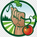 Telegram profile photo for Удачная Дача