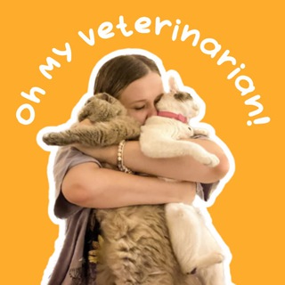 Telegram profile photo for Oh my veterinarian !🩺👩🏼⚕️