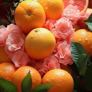 Telegram profile photo for Кулинария. Книги и рецепты, которые не хочется терять 👩🍳👨🍳