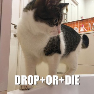 Telegram profile photo for Drop or Die