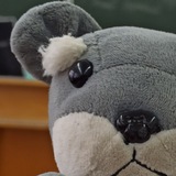 Telegram profile photo for шерстяной🧑🔬
