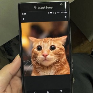 Telegram profile photo for Flipsheen