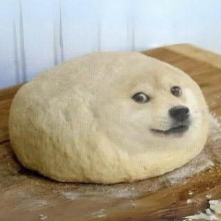 Telegram profile photo for $DOUGHE CTO PORTAL