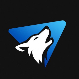 Telegram profile photo for Traffic Wolves | Digital Agency