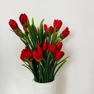 Telegram profile photo for Yangiliklar 🇹🇷 TOPTURK BREND🇹🇷MISS IMONA COLLECTION TURKIYA TOVARLARI🇹🇷