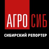 Telegram profile photo for Агросиб. Сибирский репортер