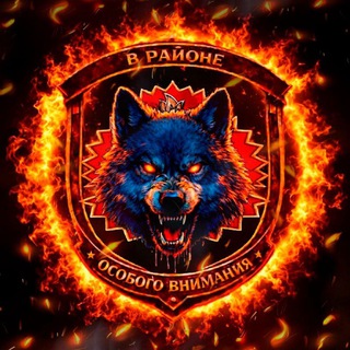 Telegram profile photo for В районе особого внимания!