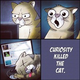 Telegram profile photo for Curiosity killed a cat