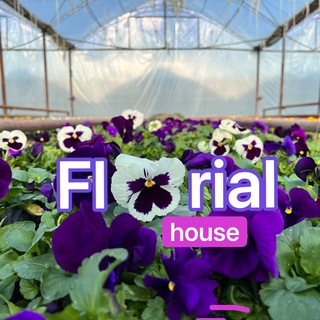 Telegram profile photo for Florial House