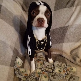 Telegram profile photo for 𝚏𝚞𝚟𝚊𝚡 зарабатывет