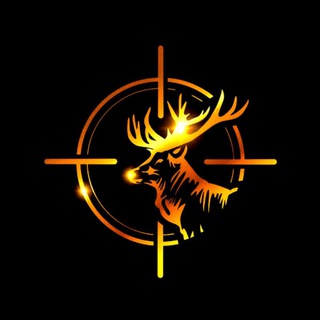 Telegram profile photo for TOSS HUNTER ๐๐ ๐ต