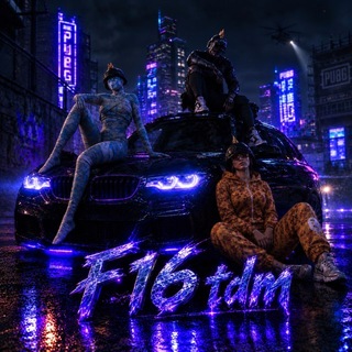 Telegram profile photo for F16 TDM