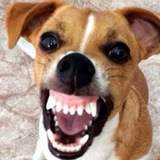 Telegram profile photo for Старый канал