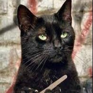 Telegram profile photo for Российская политика и бизнес