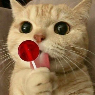 Telegram profile photo for متحركات❤️ملصقات❤️كيوت