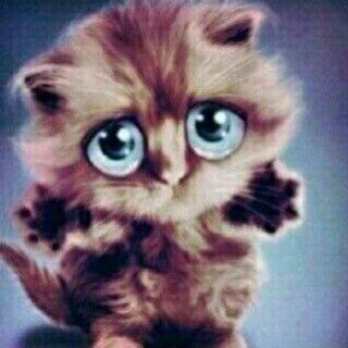 Telegram profile photo for (рест.) #юкич сш постинг