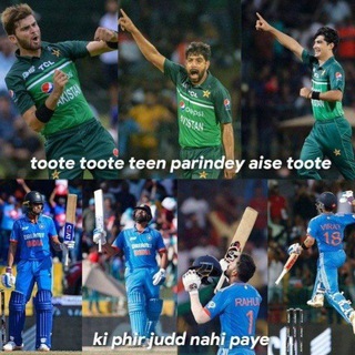 Telegram profile photo for Cricket Meme News