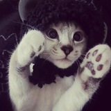 Telegram profile photo for カスミンのバブル