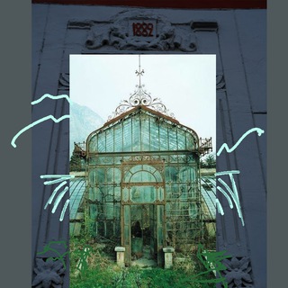 Telegram profile photo for MuseoDom