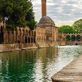 Telegram profile photo for ولا تهنوا ولا تحزنوا