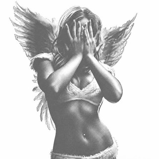 Telegram profile photo for ANGLE